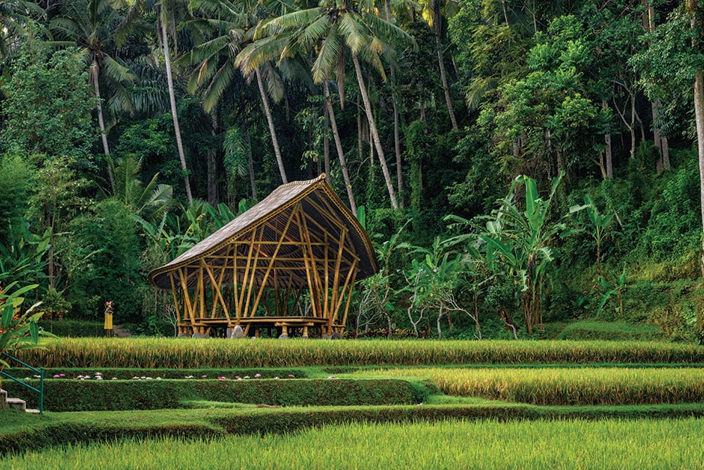 Four Seasons Resort Bali at Sayan