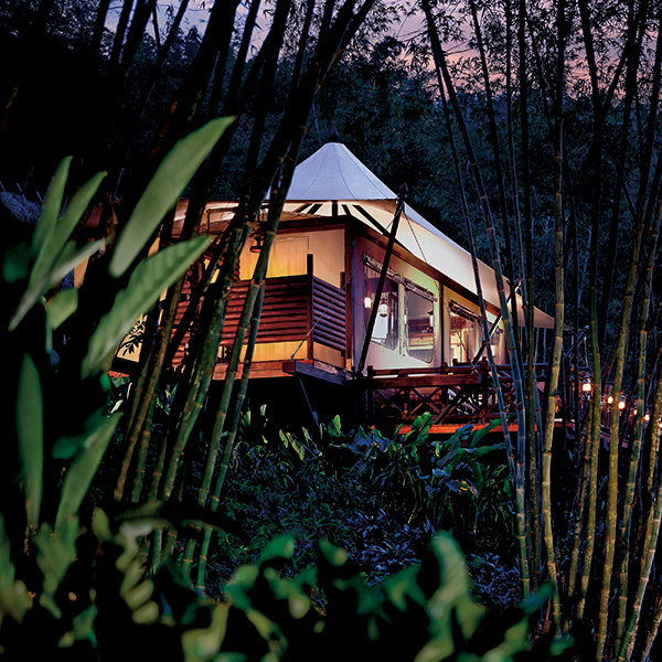 four seasons tented camp golden triangle in thailand