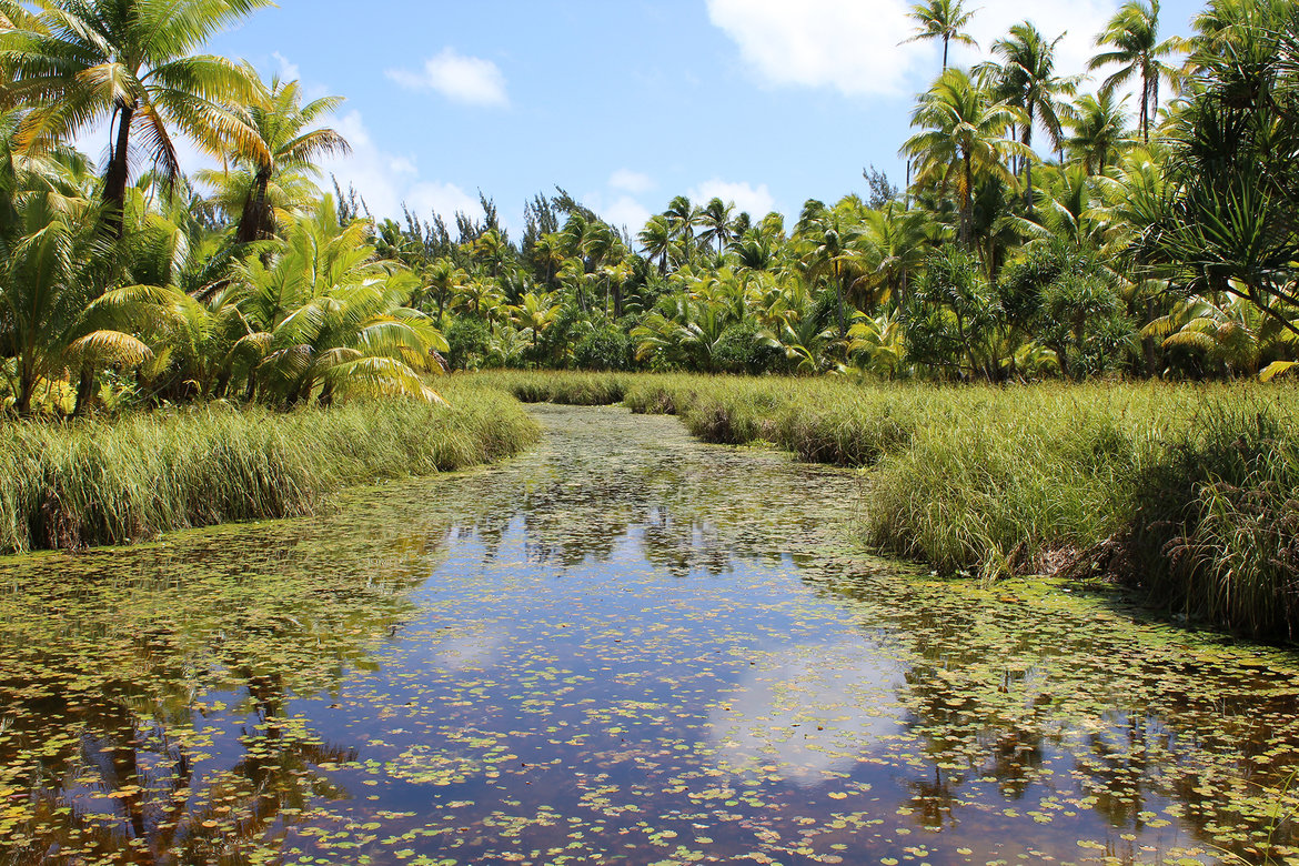 the brando spa