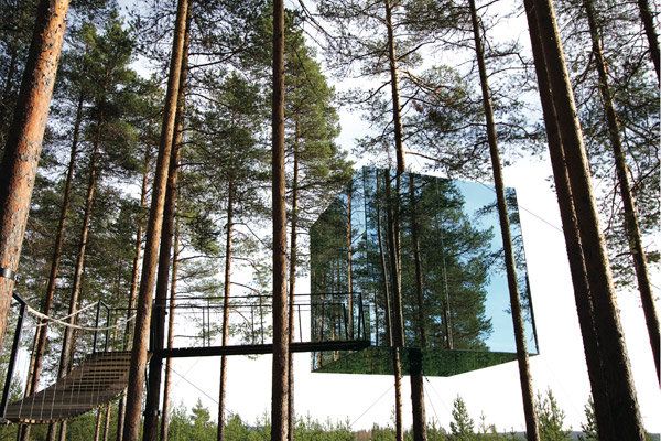 tree hotel sweden honeymoon nature