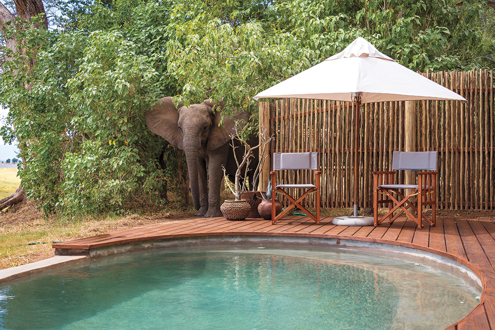 Zimbabwe honeymoon