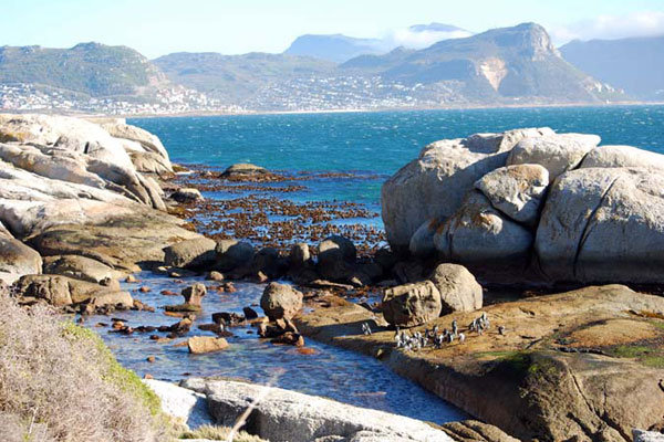 table mountain cape town south africa