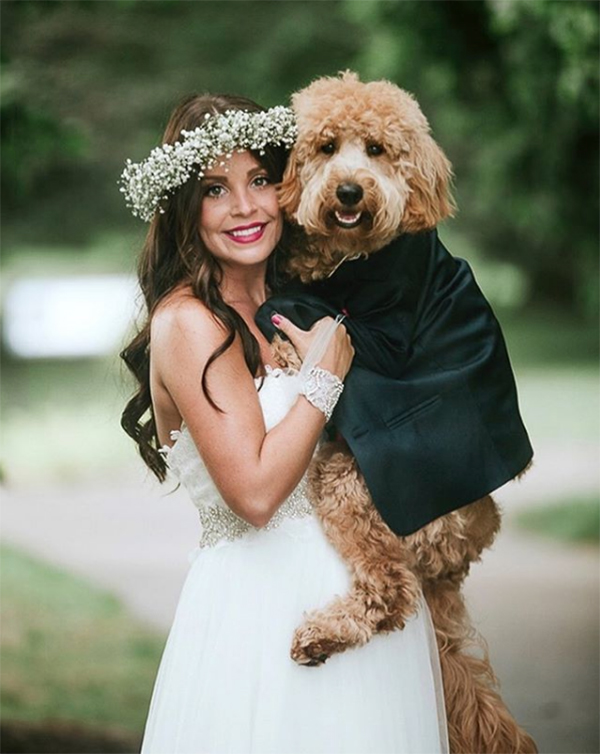 brides best friend dog in tux