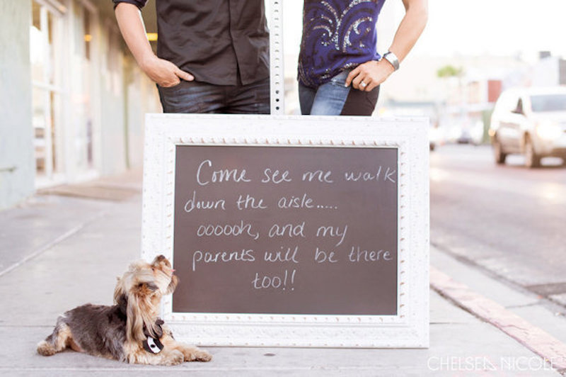 cute dog save the date