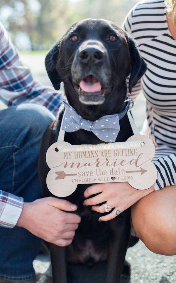 dog save the date