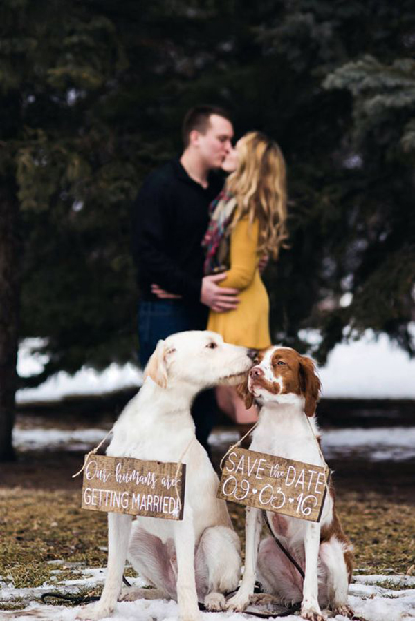 dog save the date