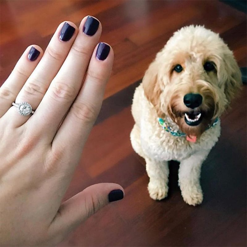 smiling puppy ring selfie