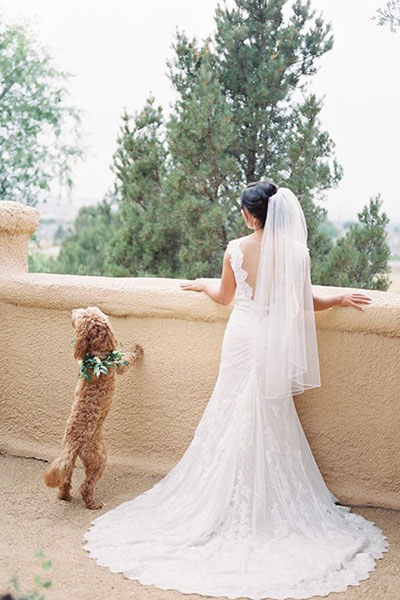 maggie sottero dog in wedding