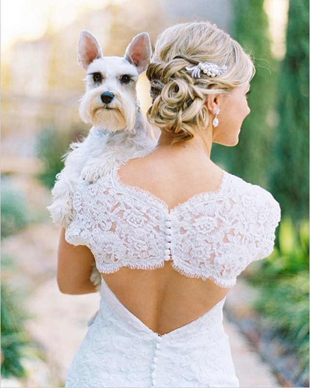 bride with dog