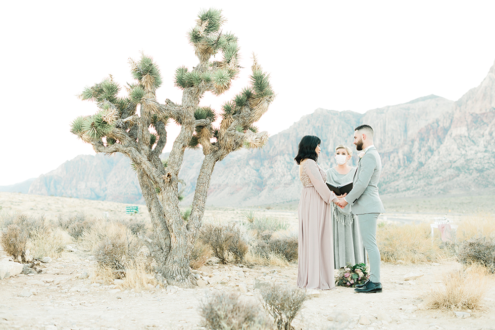 desert wedding bride and groom
