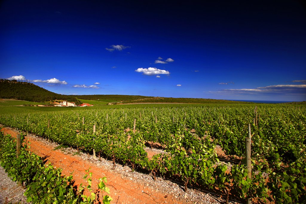 Gerard Bertrand Chateau L'hospitalet