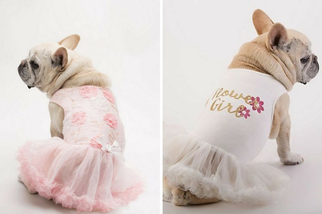 Dogs in Flower Girl Dresses