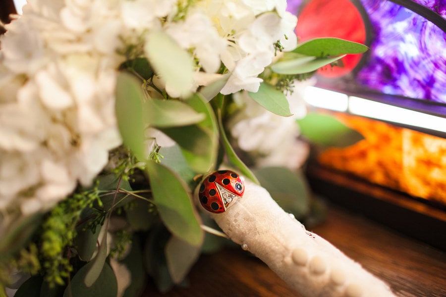 ladybug brooch