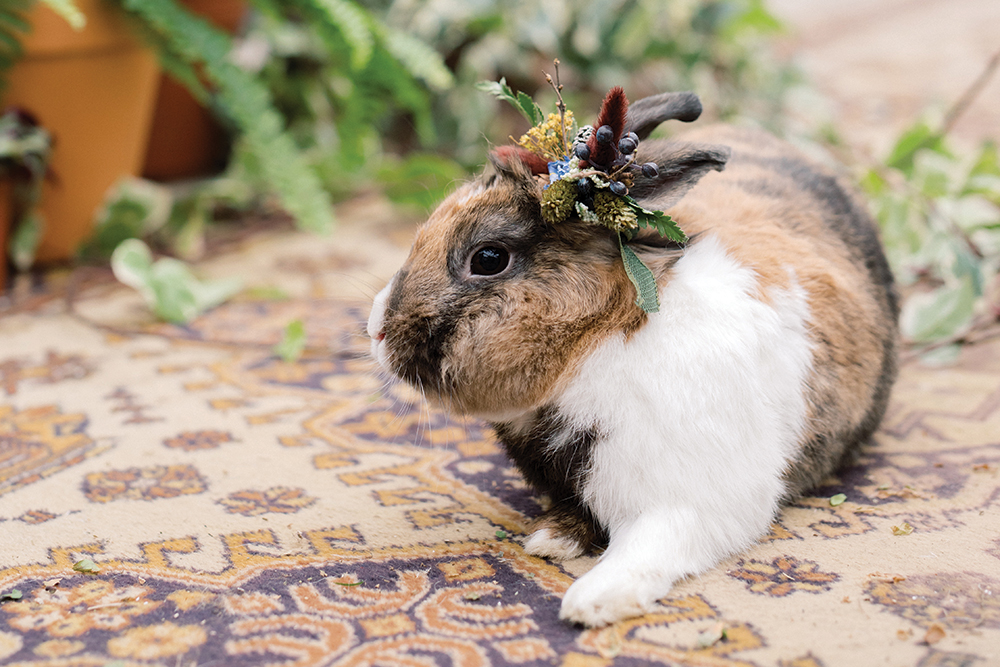 Rustic bunny decor at wedding