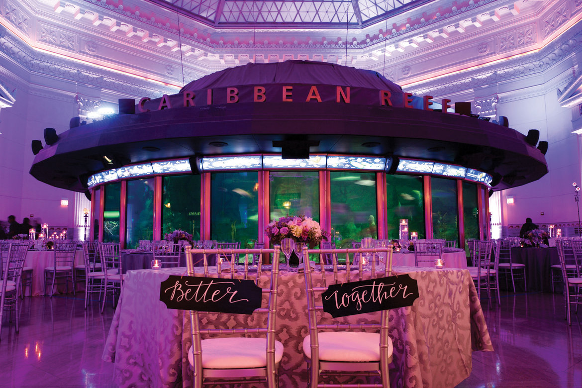 aquarium wedding