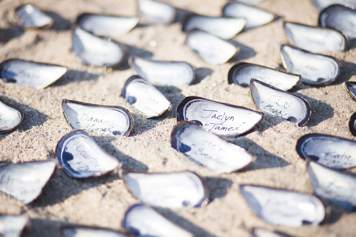 seashell escort cards