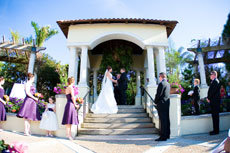 the rules of wedding ceremonies