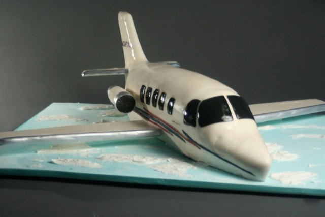 airplane grooms cake