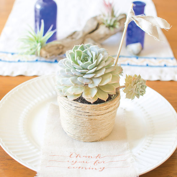 mason jar succulent wedding favor