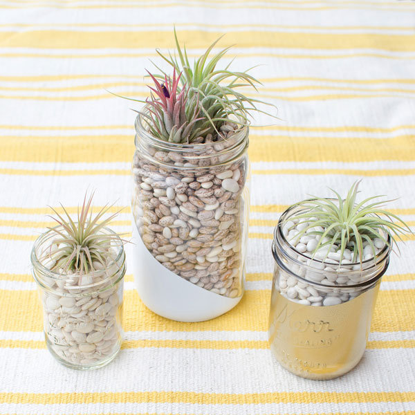 mason jar plant favors