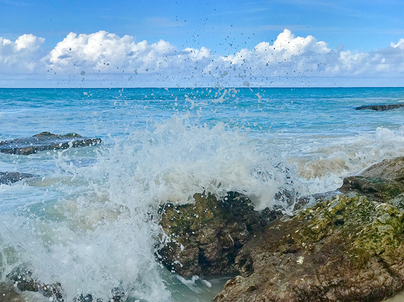 iguana island beach