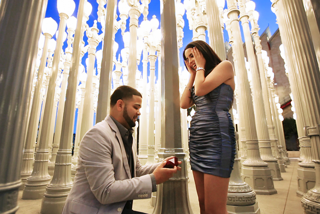 lacma-proposal