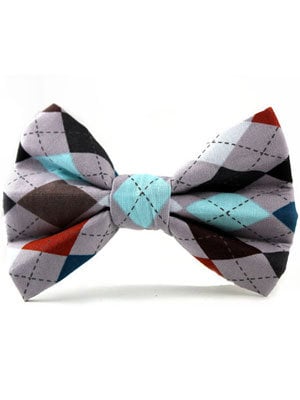 preppy dog bowtie