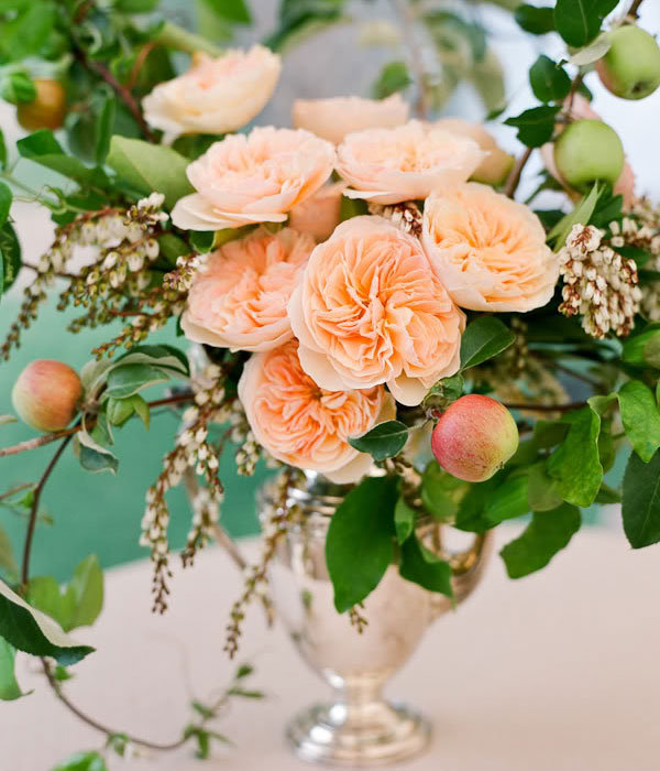 peach garden roses