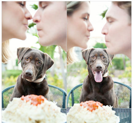 lady and the tramp disney themed engagement photos