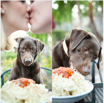 lady and the tramp disney themed engagement photos