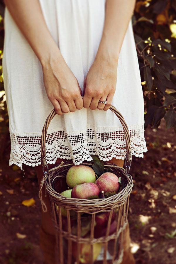 apple picking