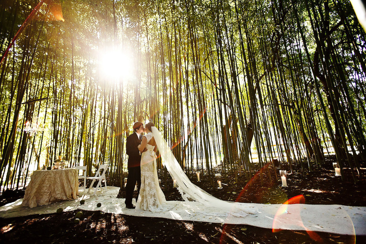 bride and groom wedding photo