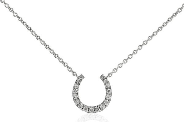 horseshoe necklace