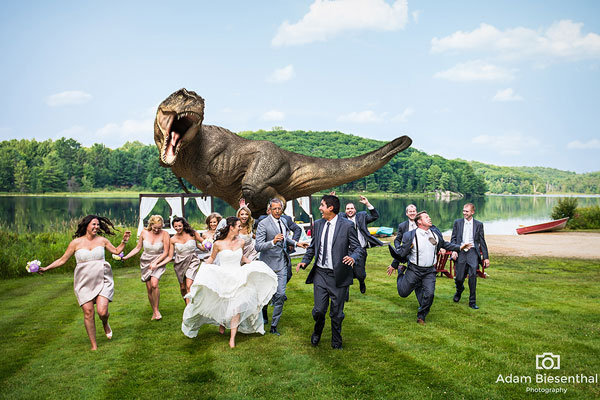 t-rex photo