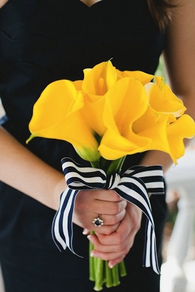 yellow calla lillies 