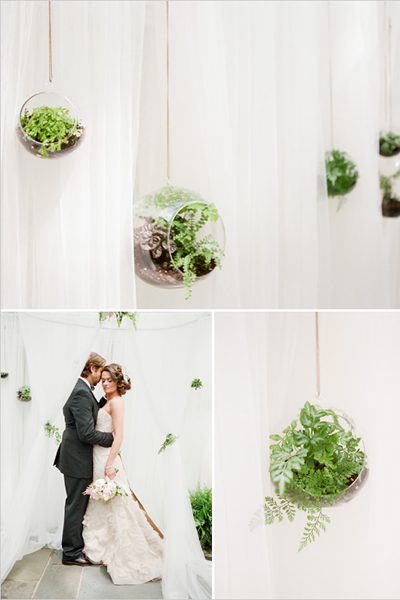 hanging succulent ceremony backdrop