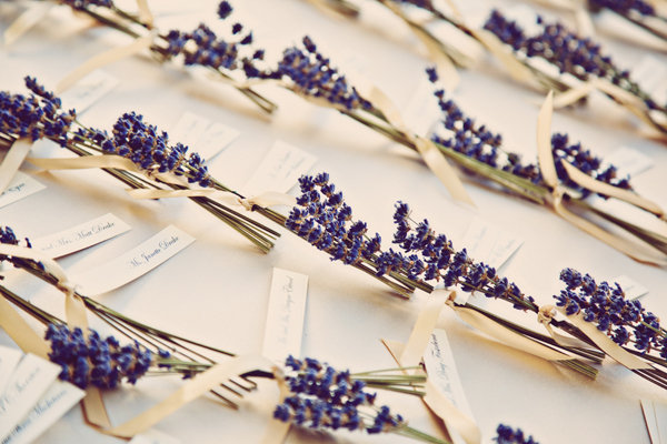 lavender escort cards