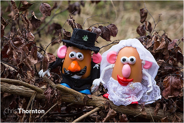 mr potato head wedding