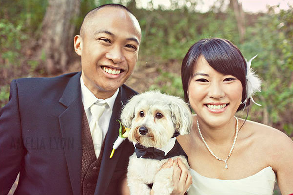 dog in wedding