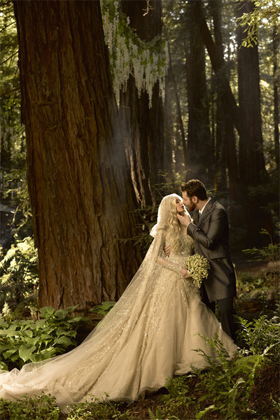 sean parker alexandra lenas wedding