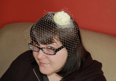the finished bird cage veil