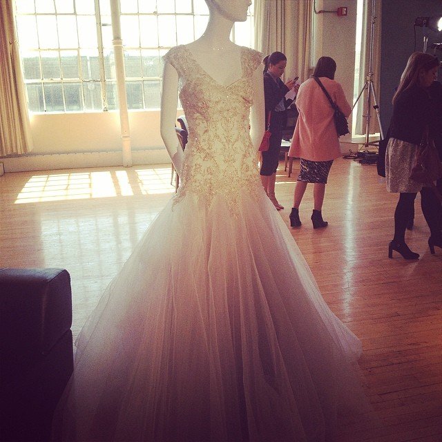 kelly faetanini wedding gown