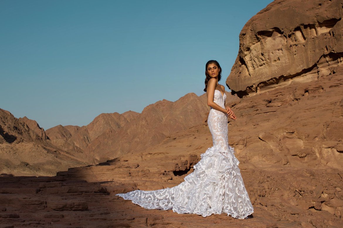 pnina tornai wedding gown