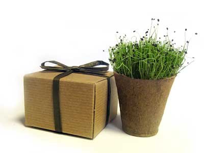 eco friendly wedding favor