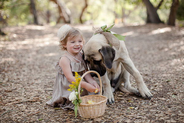 flower girl with dog 