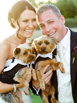 bride and groom with two dogs in tuxedos 