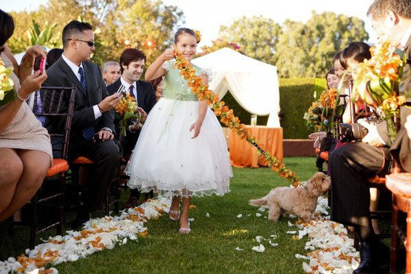 flower girl walking dog down the aisle 