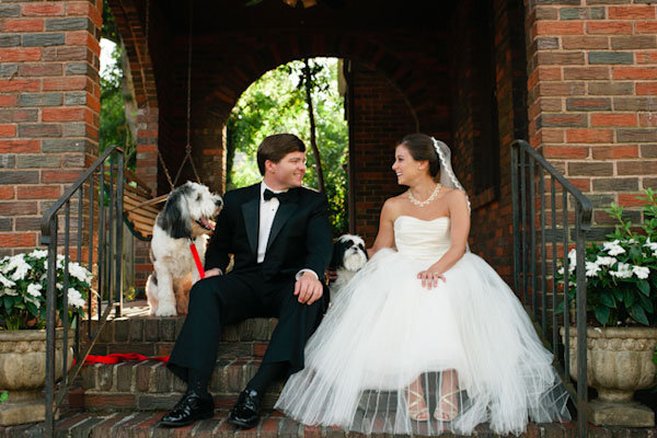 bride and groom sitting with their dogs