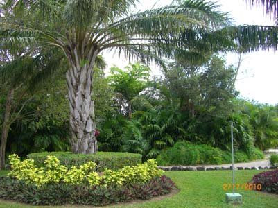 chankanaab-gardens