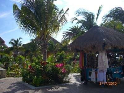 cozumel-shopping